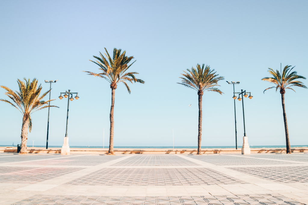 Top Things To Do in Valencia