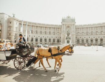 horse-drawn carriage in Vienna