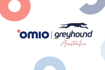 Greyhound