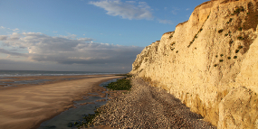 Trein Brussel - Calais