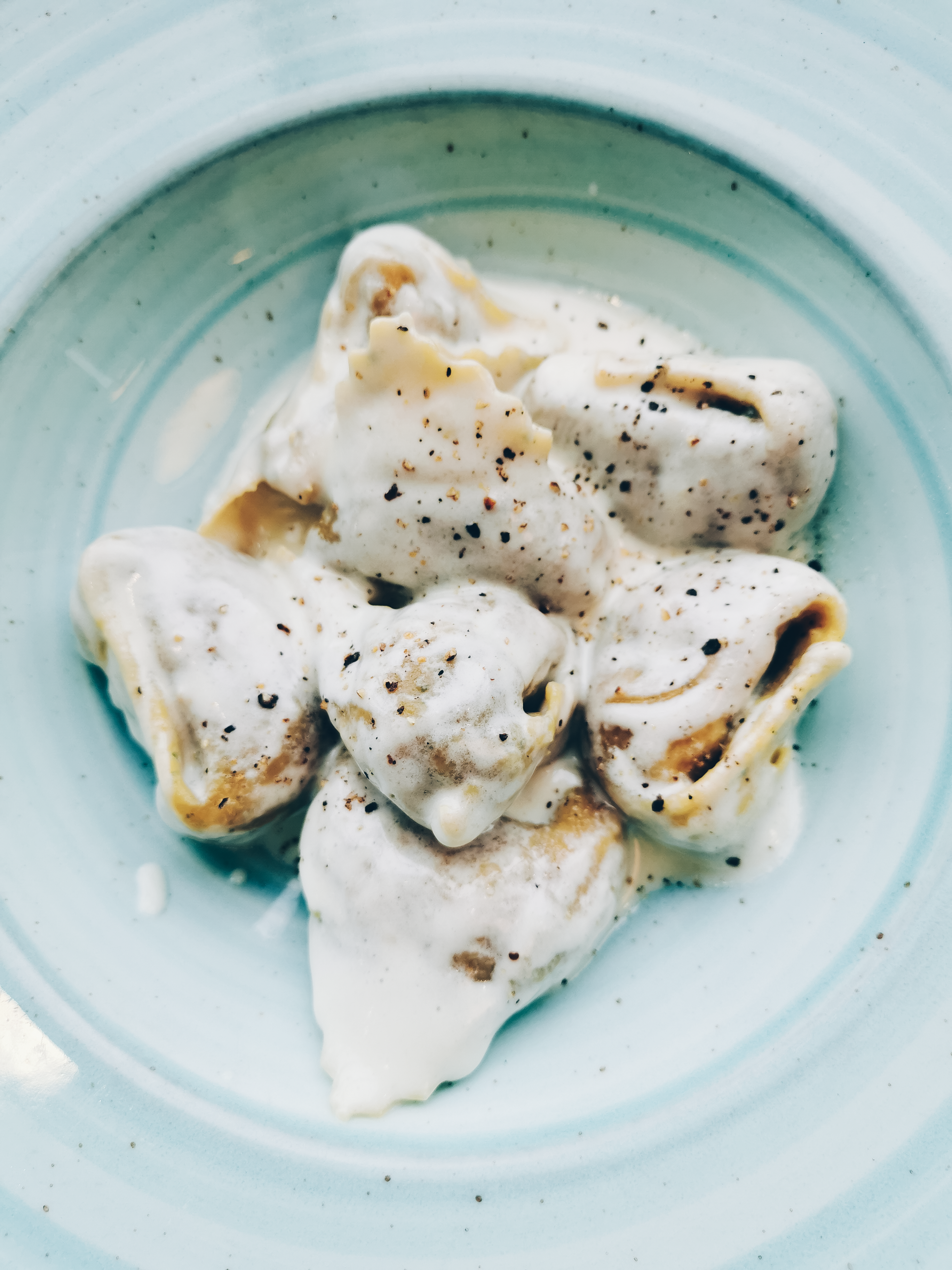 Bologna: Sehenswürdigkeiten und vieles mehr