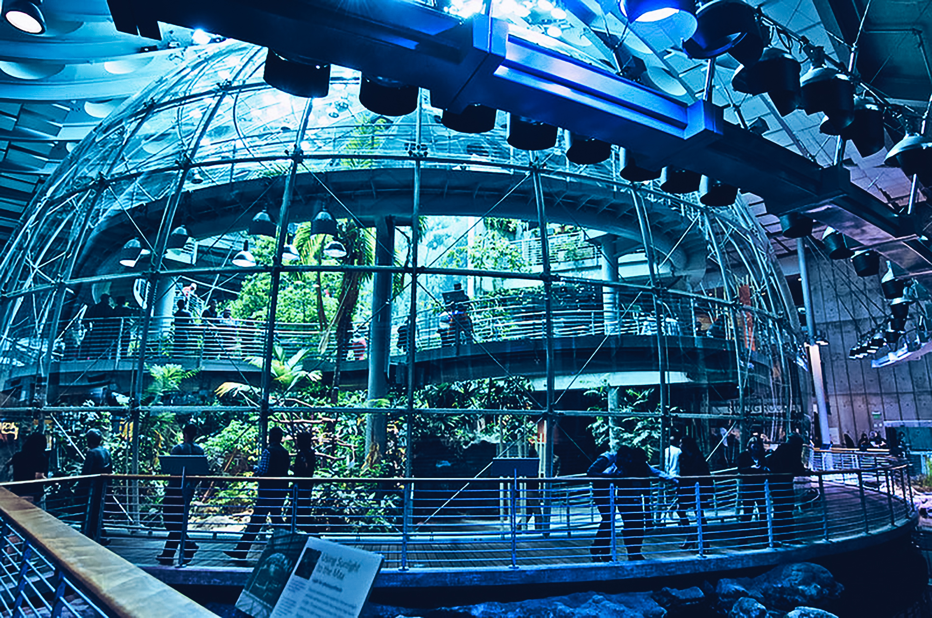 San Francisco: Sehenswürdigkeiten und vieles mehr