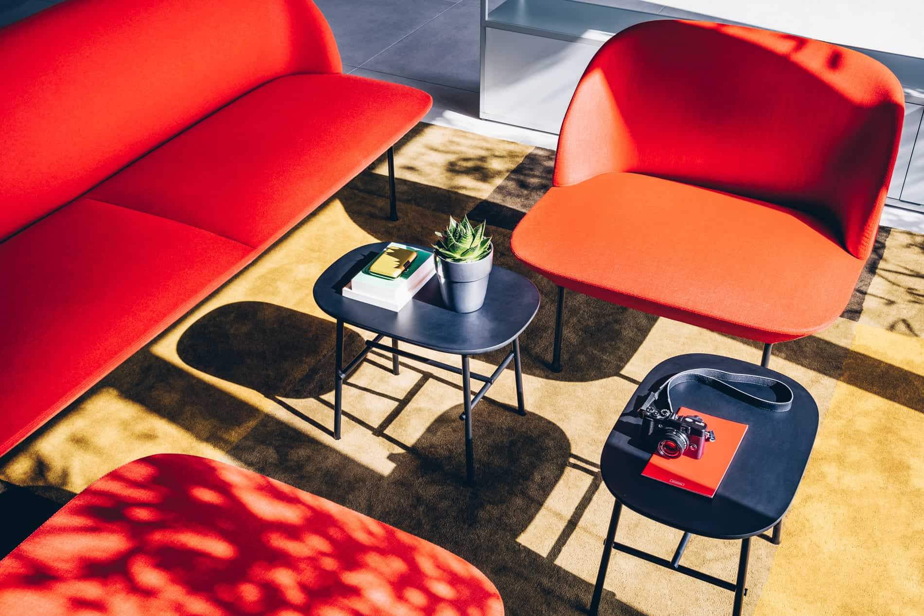 Cannes: Sehenswürdigkeiten und vieles mehr