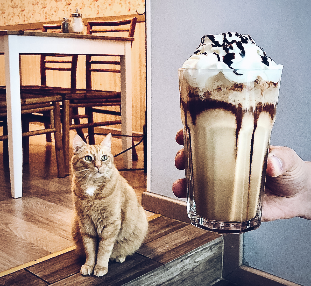 Mit dem Luxexpress-Bus auf Baltikum-Rundreise