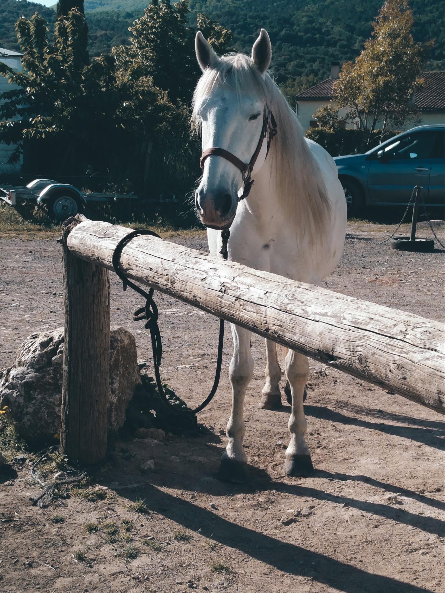 Relax and Unwind: Einen Gang runterschalten