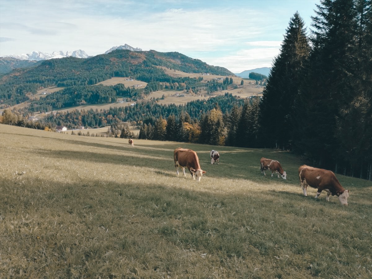 Relax and Unwind: Einen Gang runterschalten