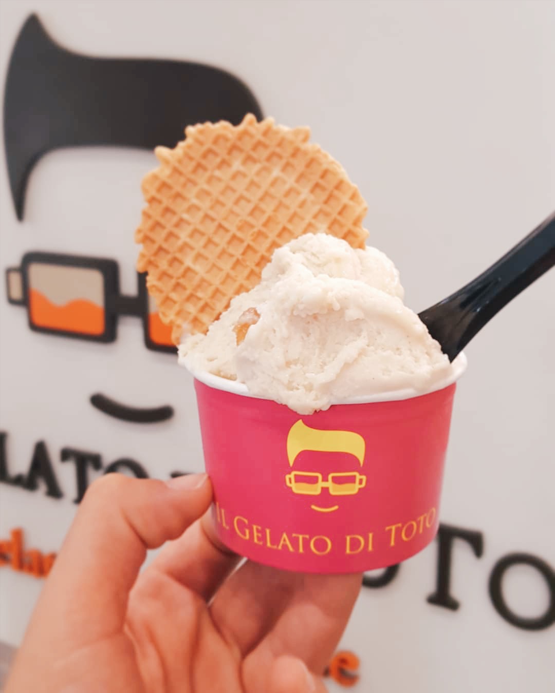 Pisa: Sehenswürdigkeiten und vieles mehr