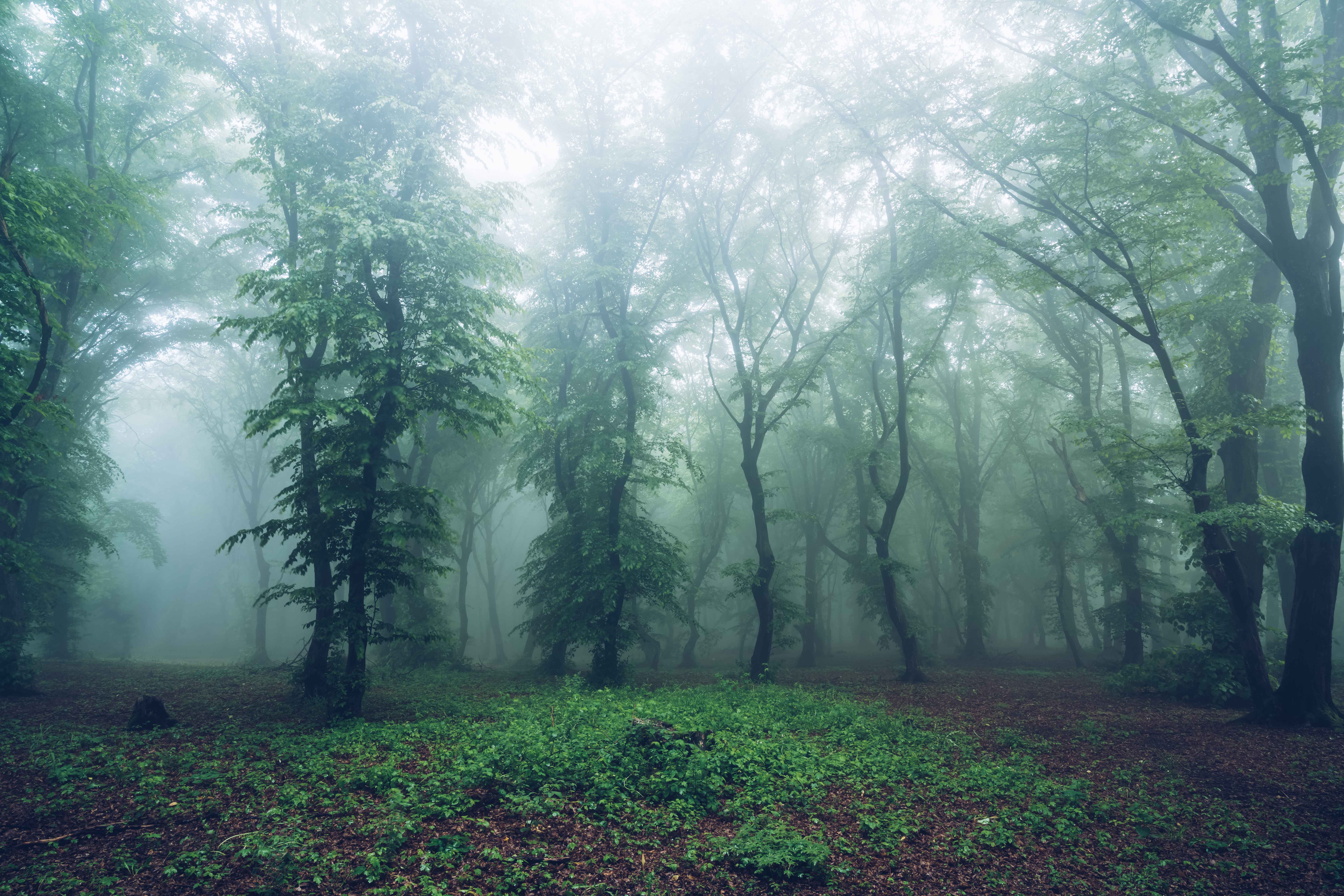 Buh! Ein spuktakuläres Halloween feiern