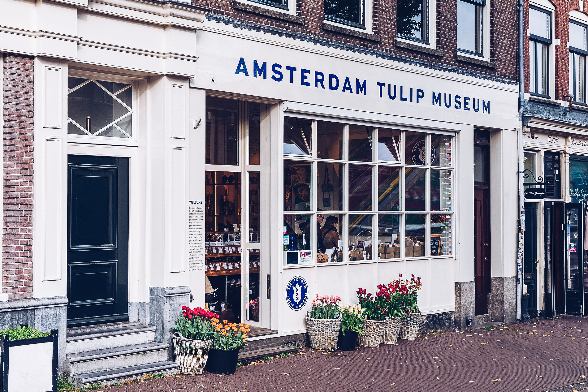 In voller (Tulpen)Bl&uuml;te: Das niederl&auml;ndische Tulpenfestival