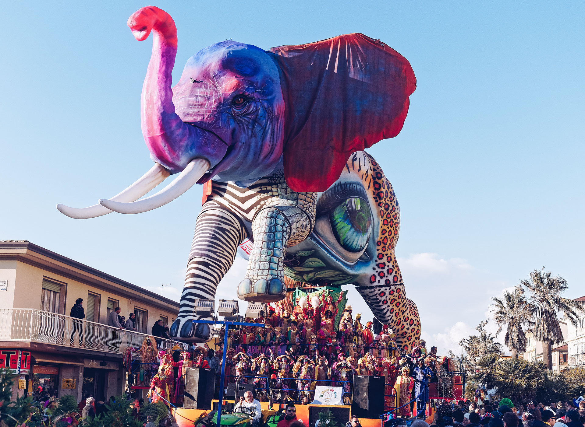 Die Narren sind los: Der beste Karneval 2022