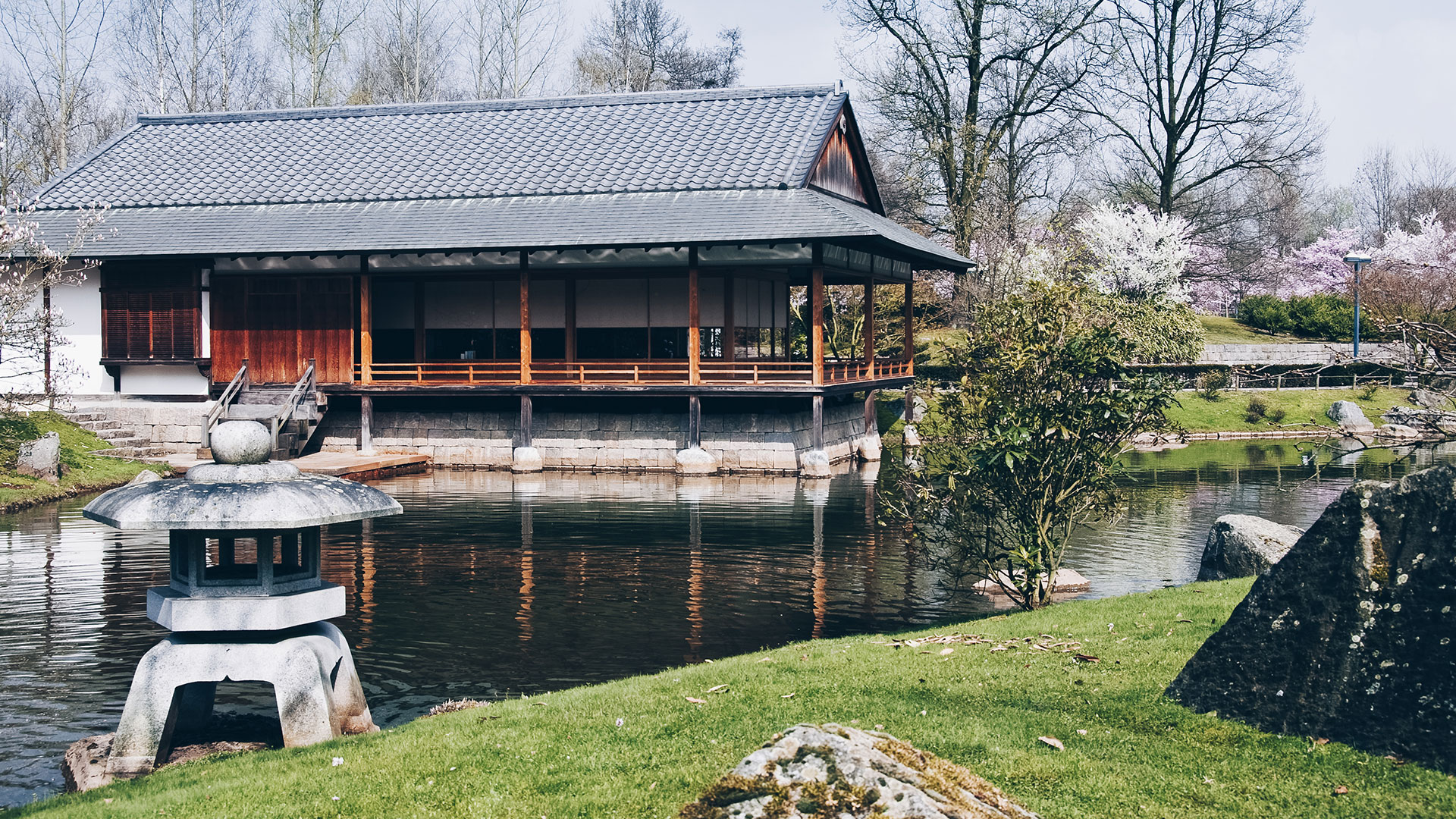 Sakura-Kirschblütenfest: Die schönsten Kirschblüten Europas