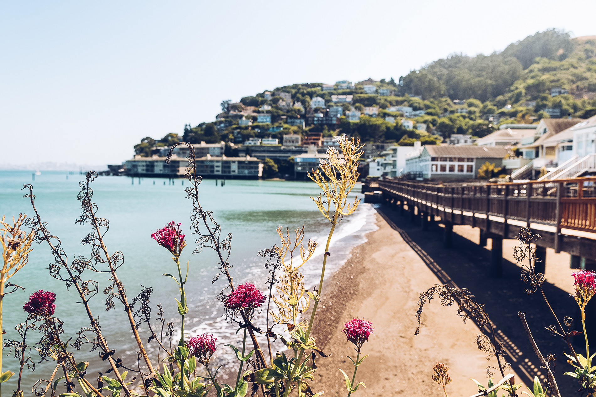 San Francisco: Sehenswürdigkeiten und vieles mehr