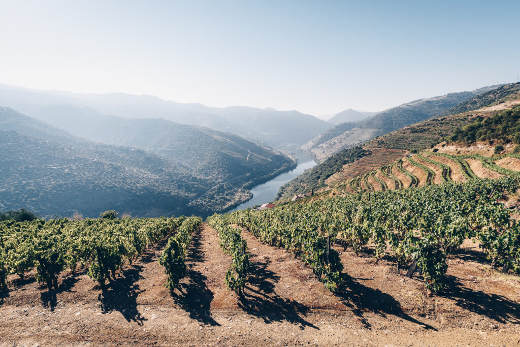 Urlaub auf dem Weingut: Das portugiesische Douro Tal