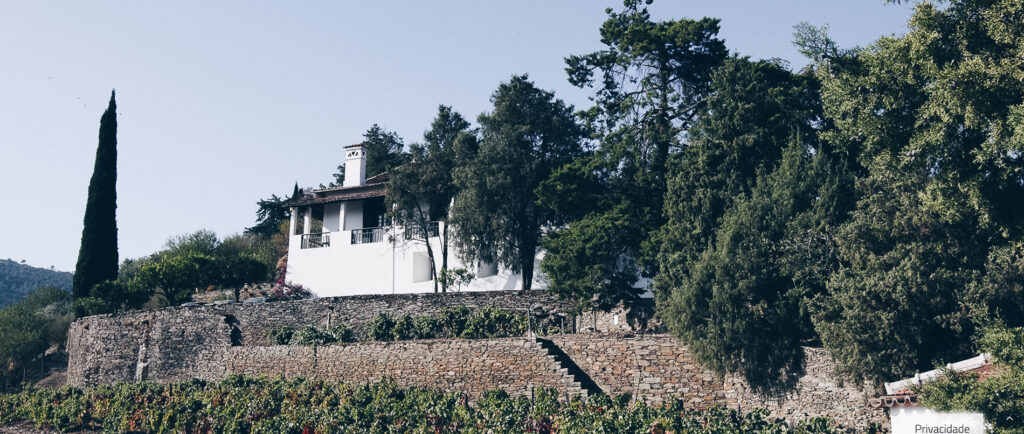 Urlaub auf dem Weingut: Das portugiesische Douro Tal