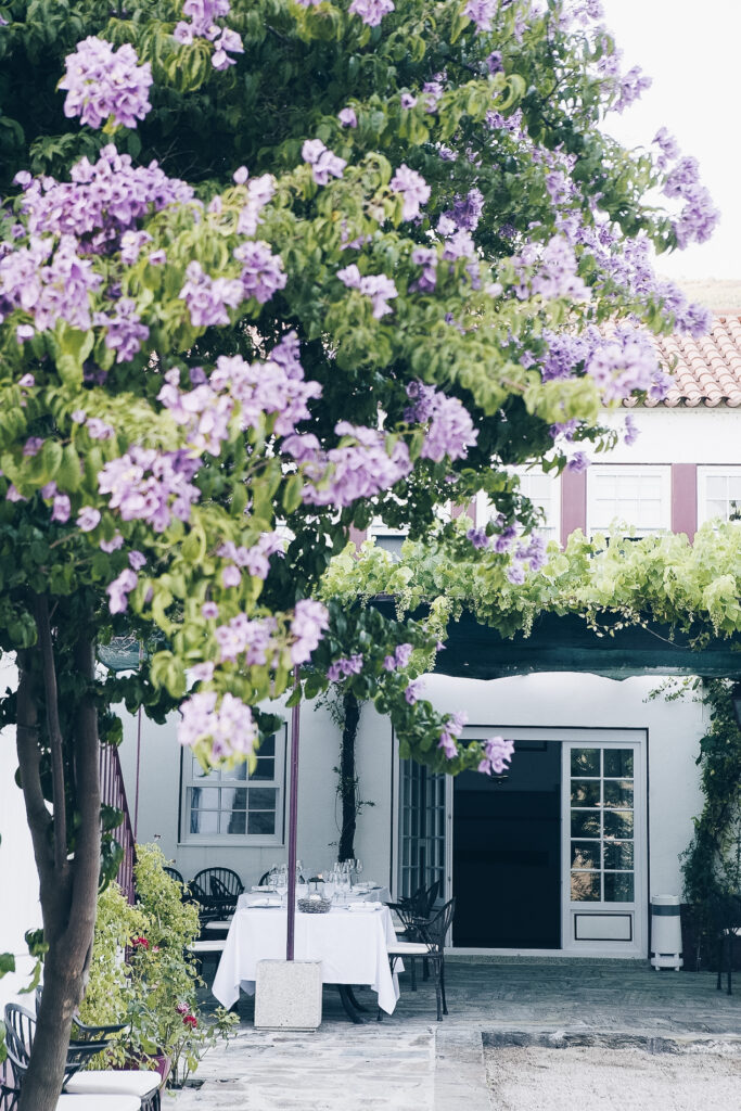 Urlaub auf dem Weingut: Das portugiesische Douro Tal