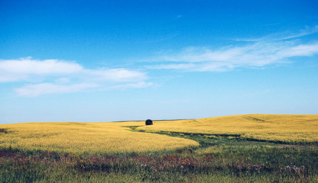 Mit dem Zug durch Kanada