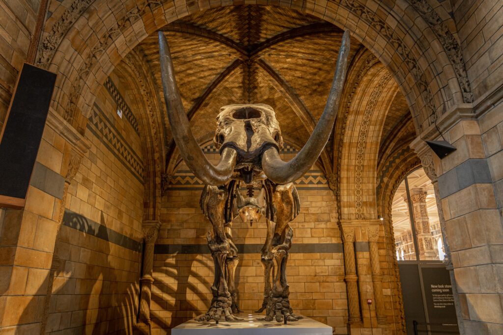 Discover centuries of history at the best museums in London